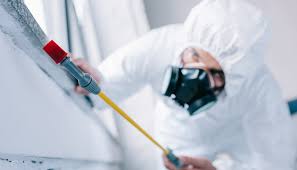 Best Fumigation Services  in Loving, NM